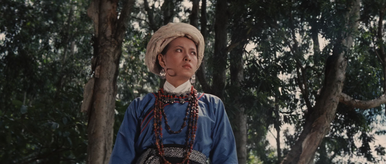 The.Valiant.Ones.1975.2160p.UHD.BluRay.x265.10bit.DD1.0-ParkHD.mkv_20250420_180355.785.jpg