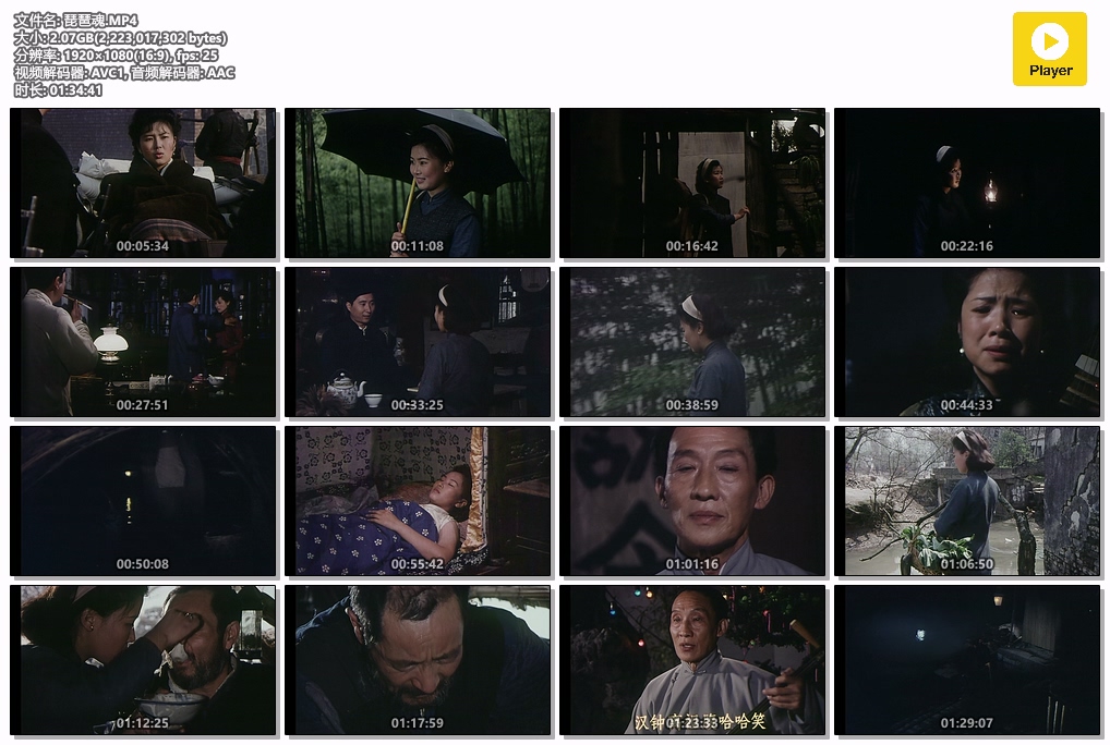 琵琶魂.MP4.jpg