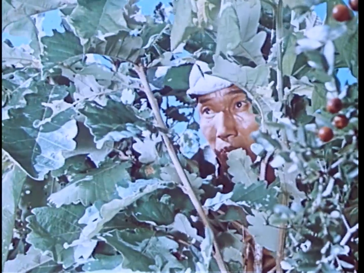 青松岭.mkv_20250430_114644.236.jpg