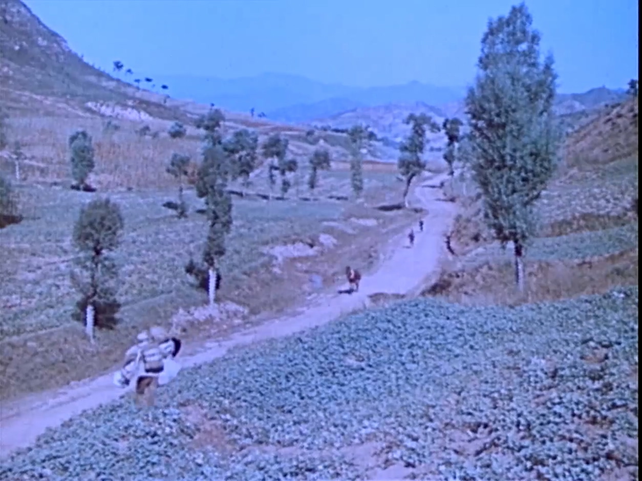 青松岭.mkv_20250430_114632.323.jpg
