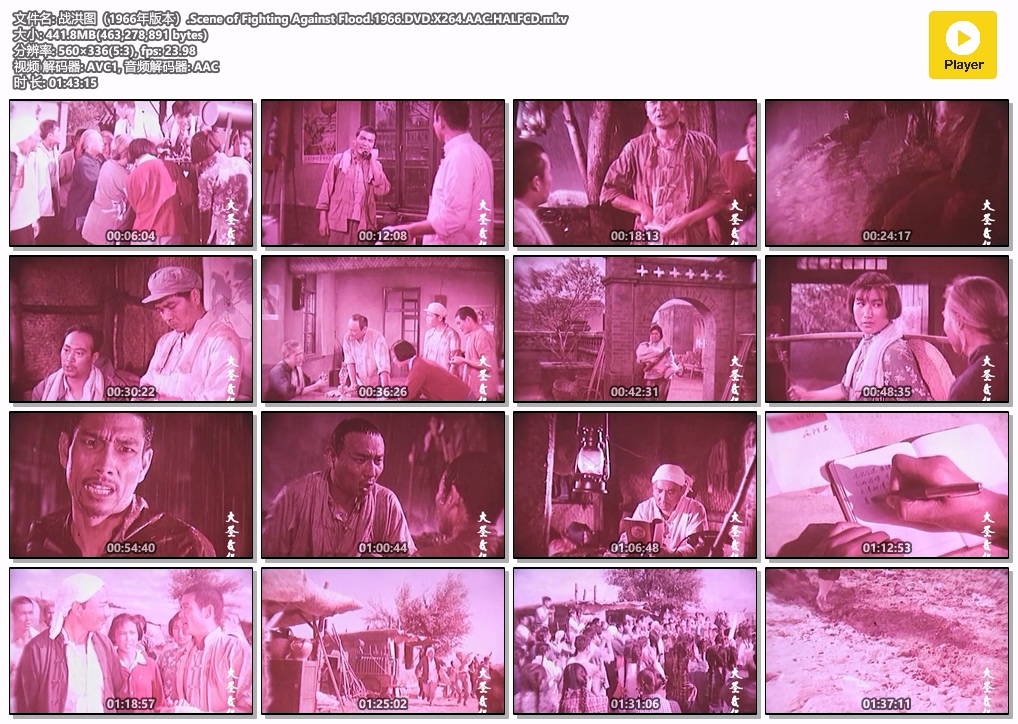 战洪图（1966年版本）.Scene of Fighting Against Flood.1966.DVD.X264.AAC.HALFCD.mkv.jpg