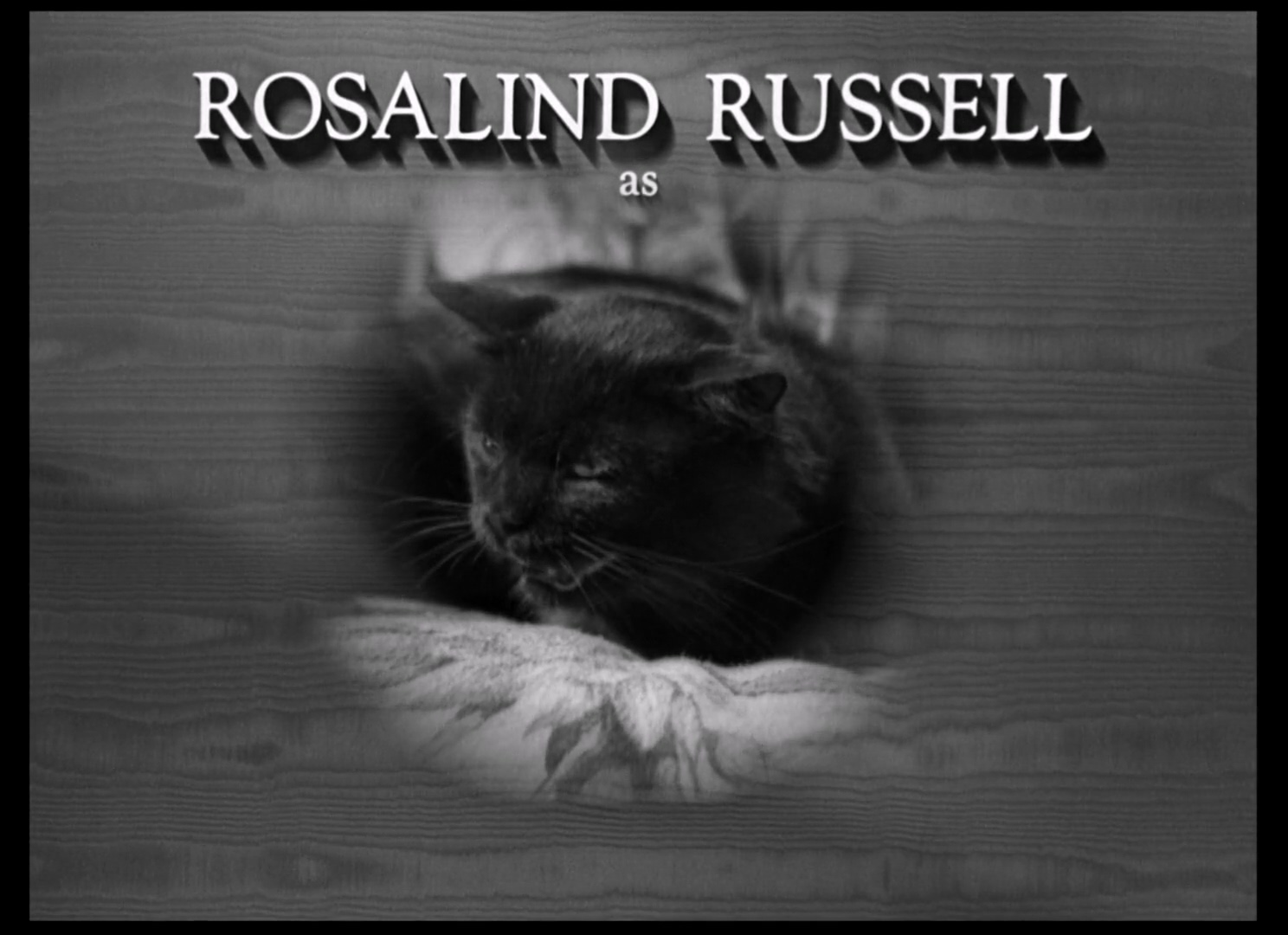 女人们(淑女争宠记).The Women.1939.国英双语.中英双字.BluRay.1080p.X264.AC3 (1).mk.jpg