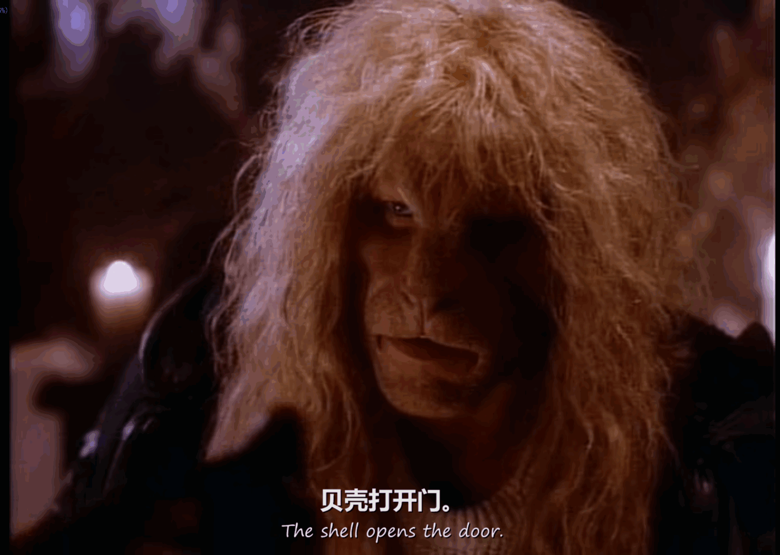 QQ截图20250510001802 (1).png