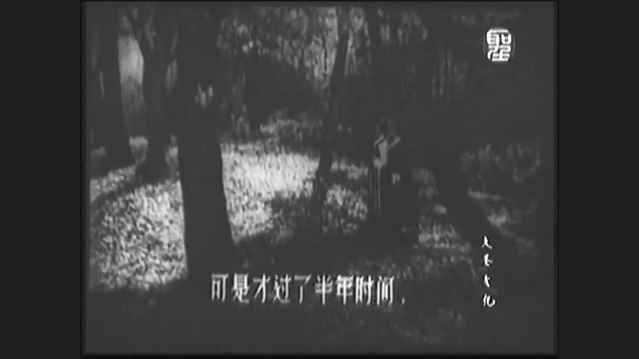 走向新岸(长译1955).mkv_20250510_153354.902.jpg