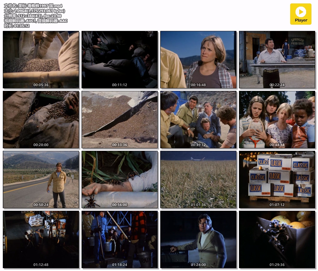 美标-毒蜘蛛1997 国.mp4.jpg