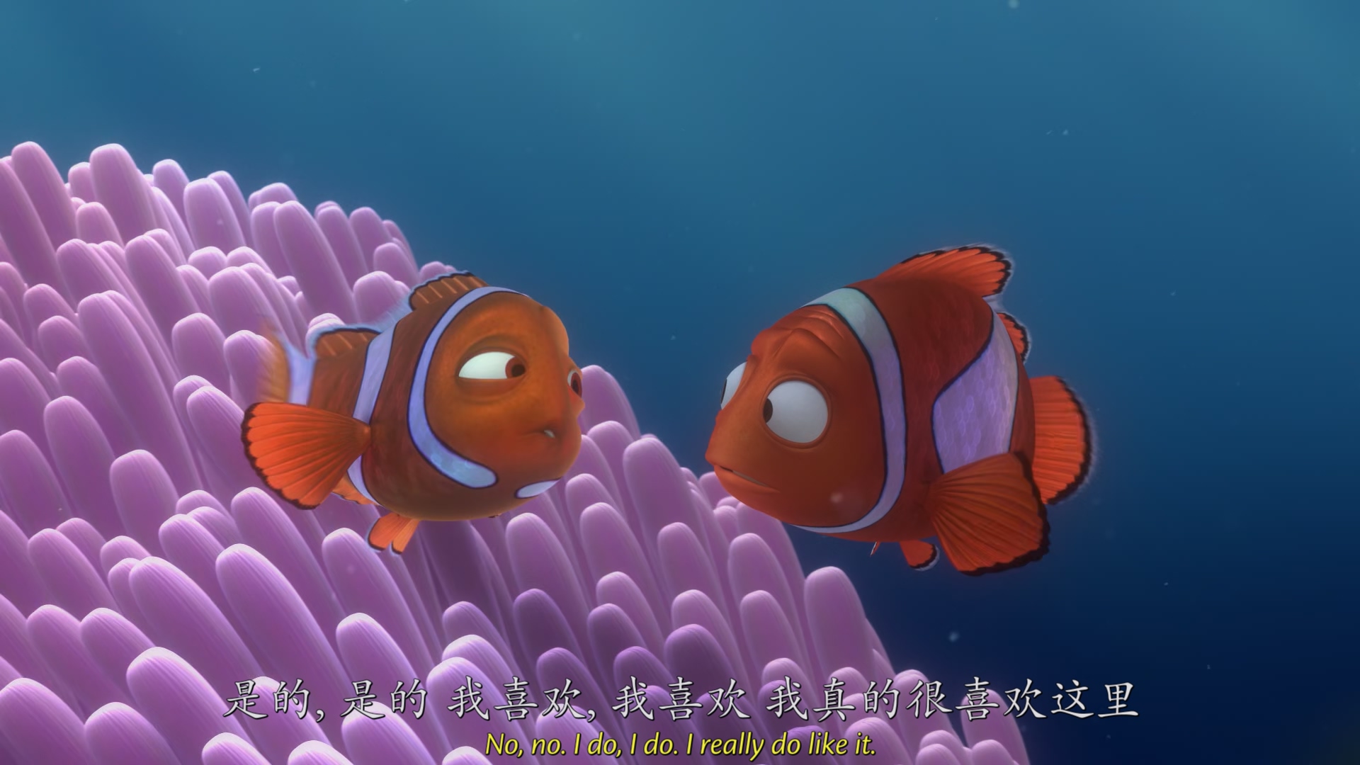 海底总动员 Finding Nemo (2003).mkv_20250510_223049.559.jpg