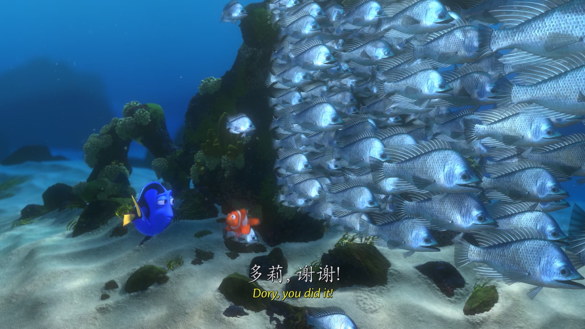 海底总动员 Finding Nemo (2003).mkv_20250510_223052.730.jpg