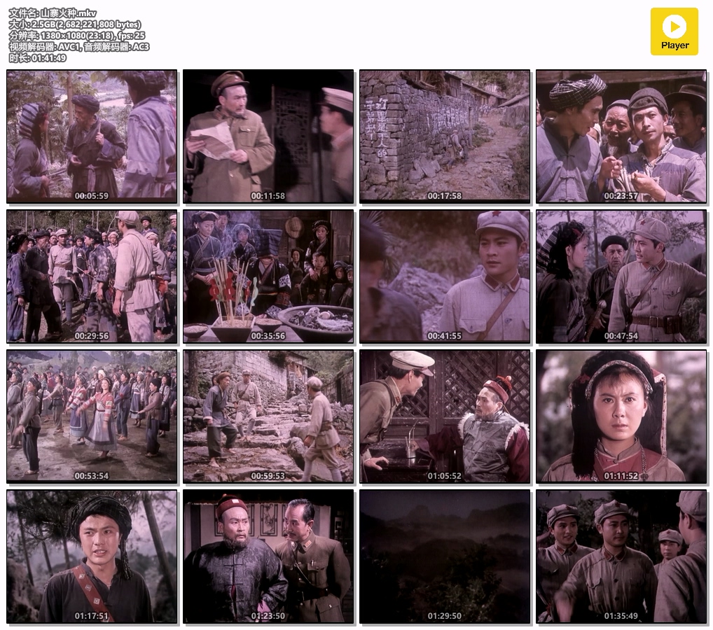 山寨火种.mkv.jpg