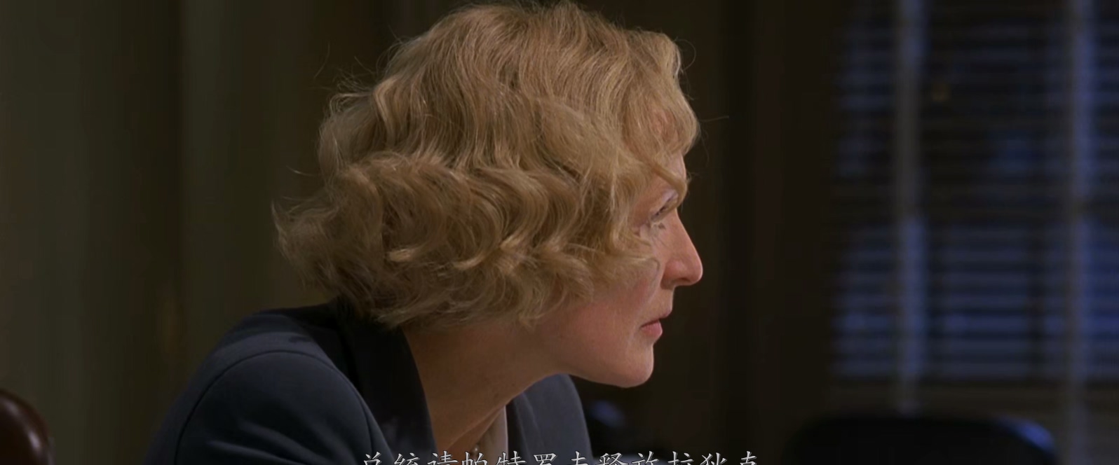 空军一号.Air.Force.One.1997. BluRay.1080p.AC3.HEVC. AC3.国英双语.特效字幕.mkv_20.jpg