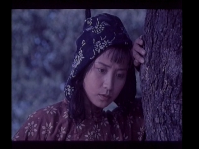 杜鹃啼血 1984.mp4_20250525_202617.764.jpg