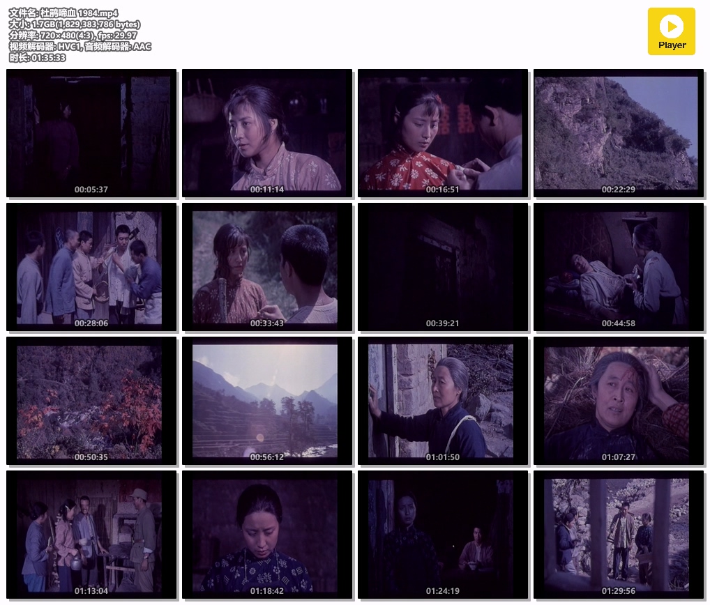 杜鹃啼血 1984.mp4.jpg
