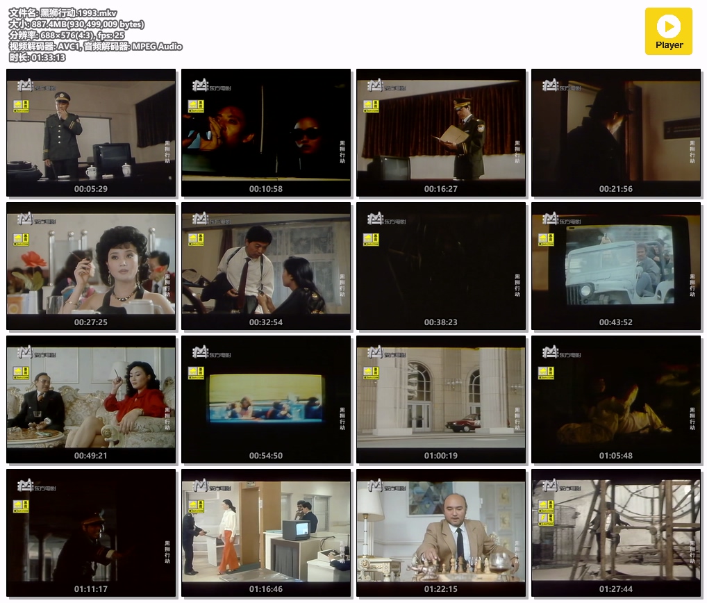 黑狮行动.1993.mkv.jpg