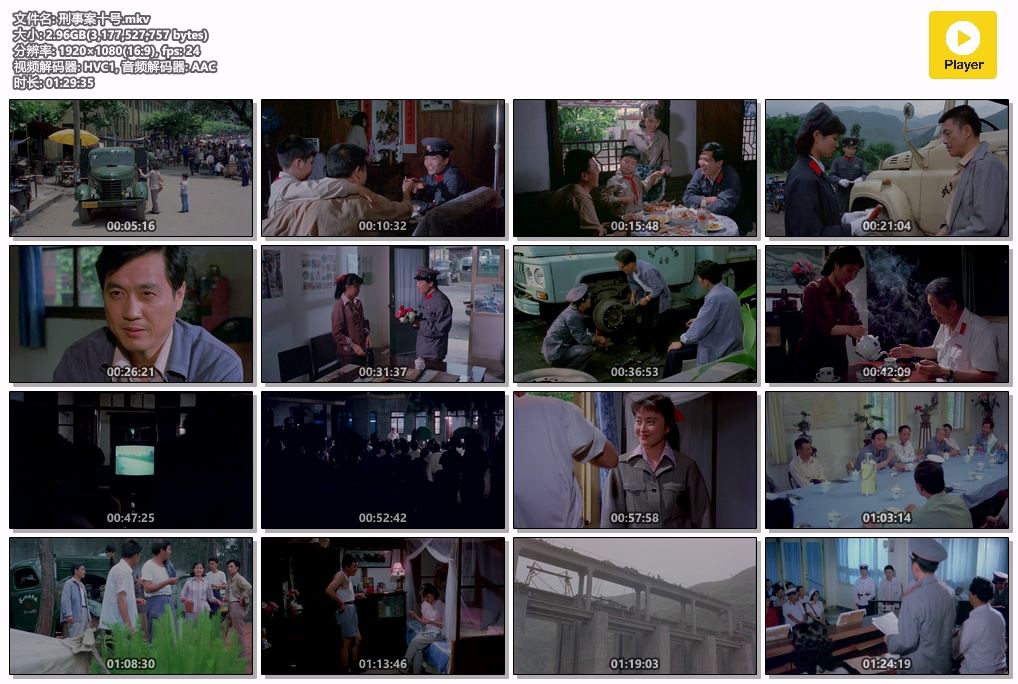 刑事案十号.mkv.jpg