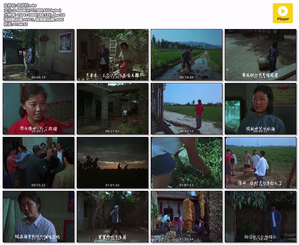 杏花村.mkv.jpg