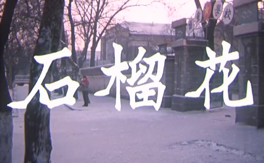 [石榴花] 1983年.mp4_20250528_125642.281.jpg