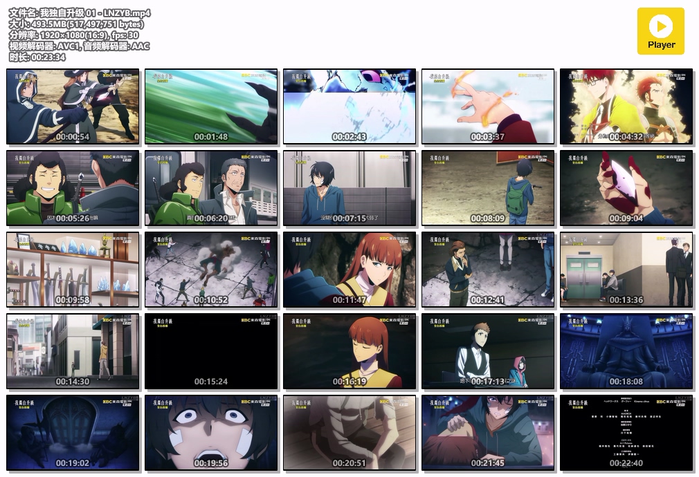 我独自升级 01 - LNZYB.mp4.jpg 我独自升级 01 - LNZYB.mp4.jpg