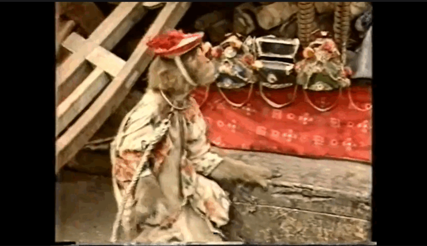 QQ截图20250530140048 (1).png