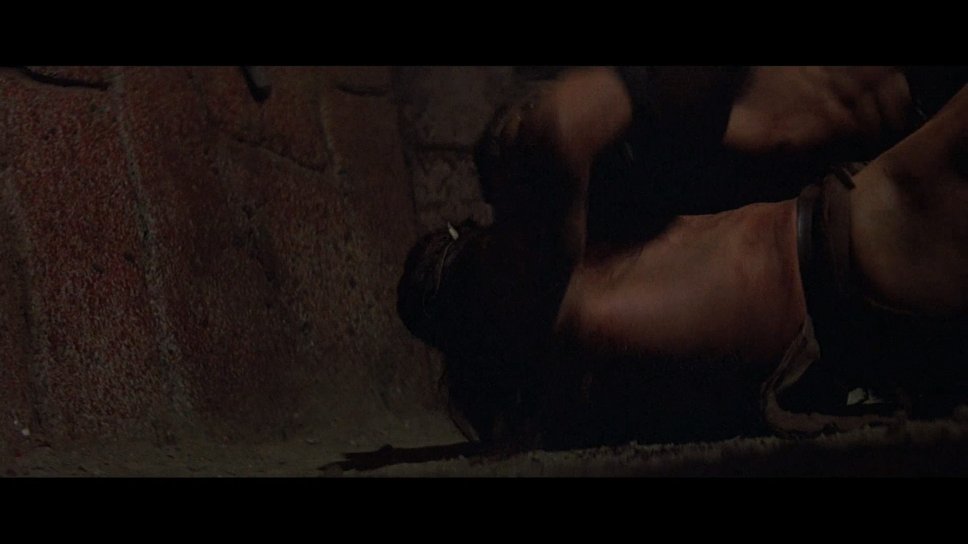 Conan.the.Barbarian.1982.BluRay.1080p.AAC.x264-DreamHD.mp4_20250604_095533.220.jpg