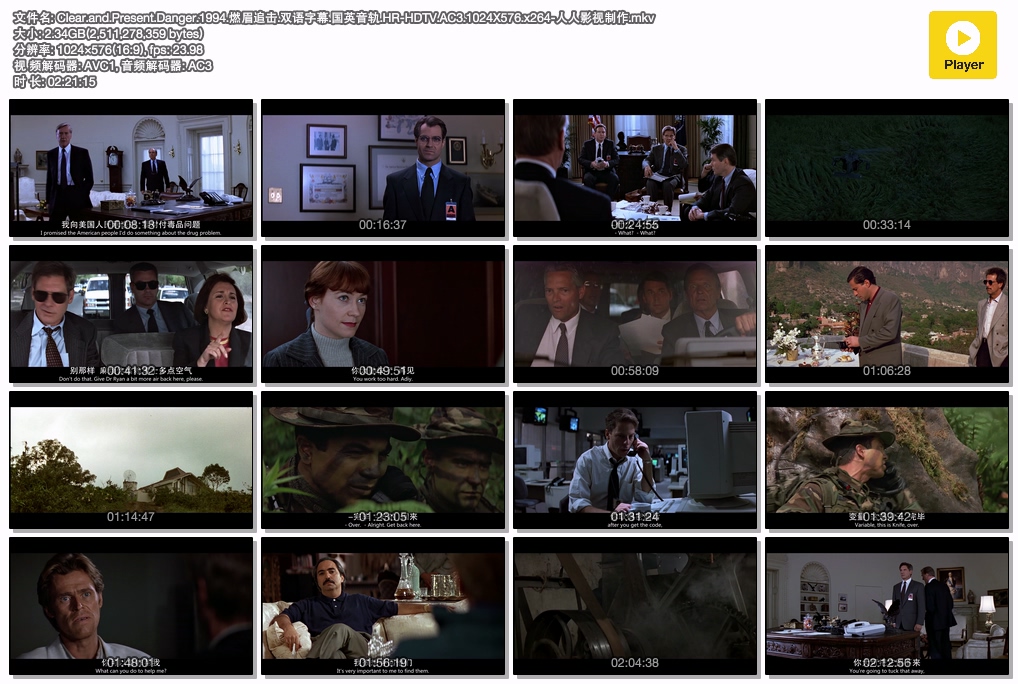 Clear.and.Present.Danger.1994.燃眉追击.双语字幕.国英音轨.HR-HDTV.AC3.1024X576.x2.jpg
