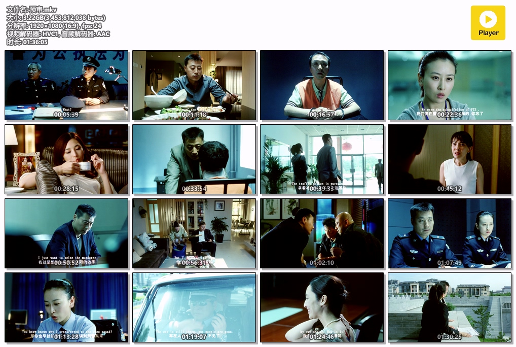 预审.mkv.jpg