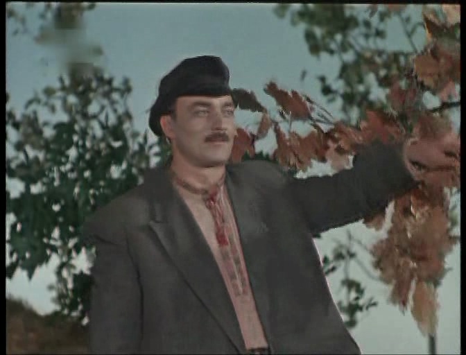 田野上的雷声.Гроза над полями.1958.SATRip.XVID.AC3.（长译国语）.mk.jpg