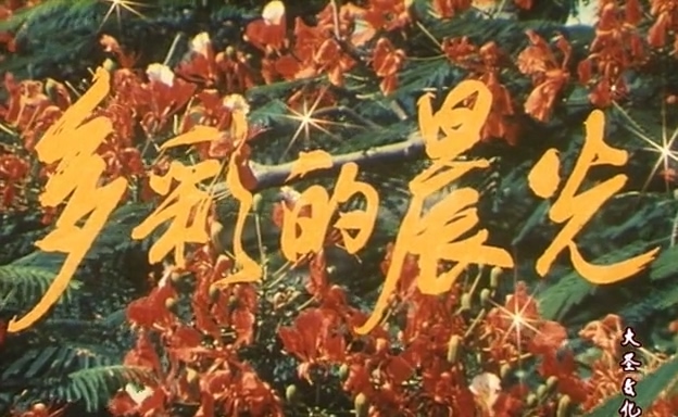 多彩的晨光.The Colorful Dawn.1984.DVD.X264.AAC.HALFCD.mkv_20250604_224535.057.jpg