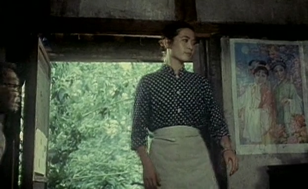 孤岭野店.Wild Mountain Inn.1988.DVD.X264.AAC.mkv_20250604_225312.366.jpg