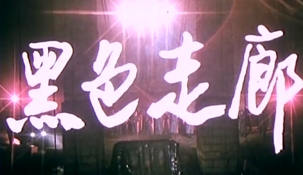 黑色走廊.Vicious Passageway.1990.DVD.X264.AAC.HALFCD.mkv_20250604_230240.667.jpg