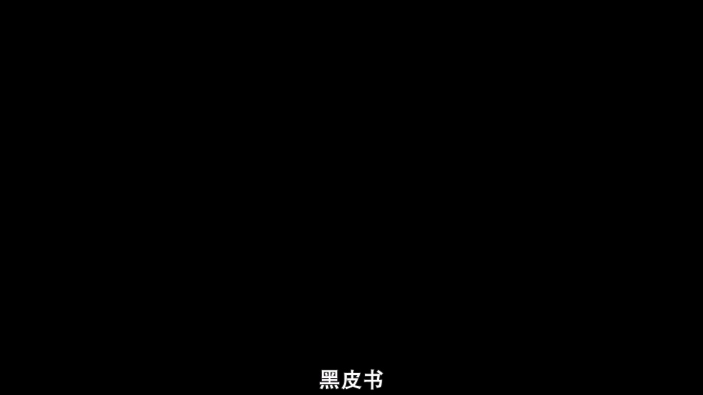 Black.Book.2006.黑皮书.中文字幕.国荷音轨.HR-HDTV.AC3.1024x576.x264-人人影视制作..jpg