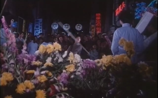 第三个被谋杀者.The Third Victim.1981.DVD.X264.AAC.HALFCD.mkv_20250606_201647.938.jpg