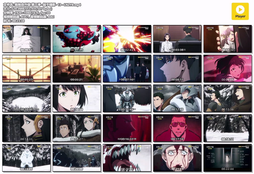 我独自升级 第二季 -起于暗影- 13 - LNZYB.mp4.jpg 我独自升级 第二季 -起于暗影- 13 - LNZYB.mp4.jpg