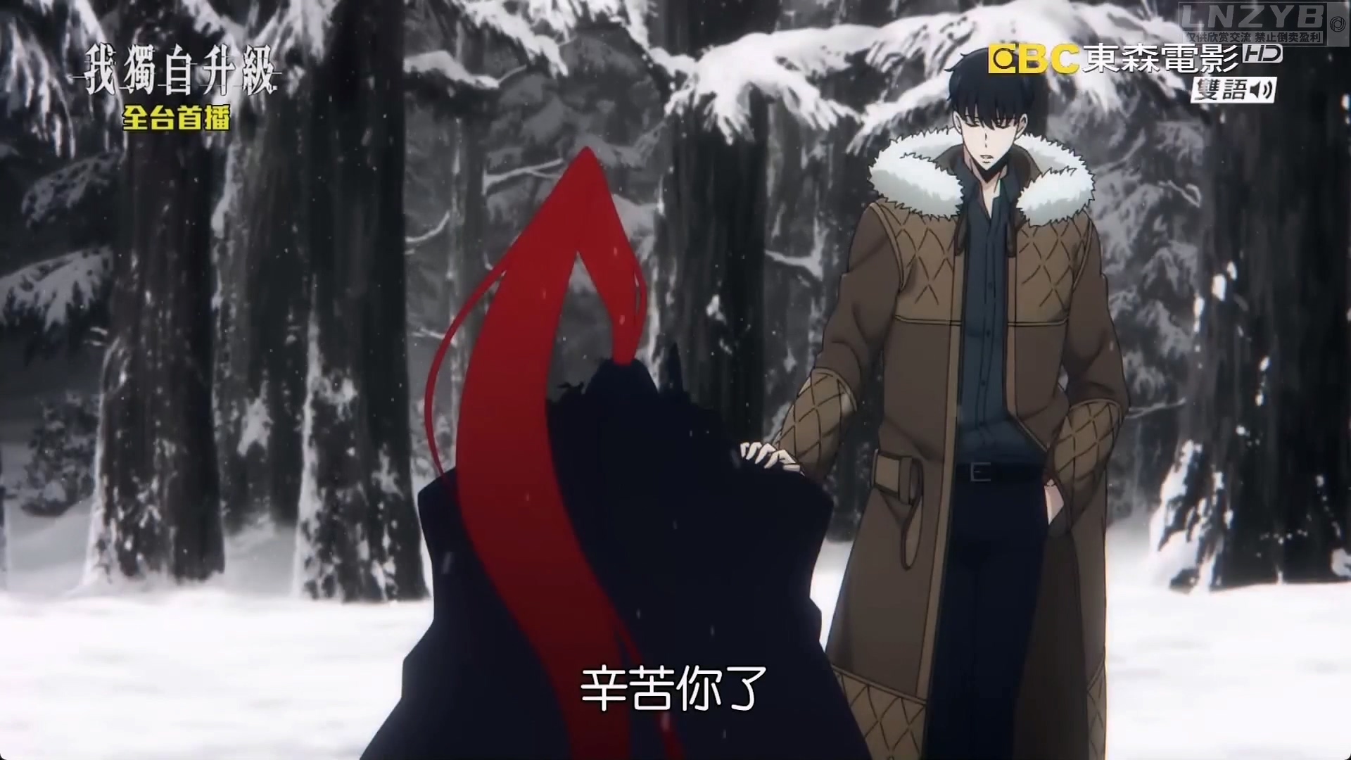 我独自升级 第二季 -起于暗影- 13 - LNZYB.mp4_20250607_122317.767.jpg 我独自升级 第二季 -起于暗影- 13 - LNZYB.mp4_20250607_122317.767.jpg