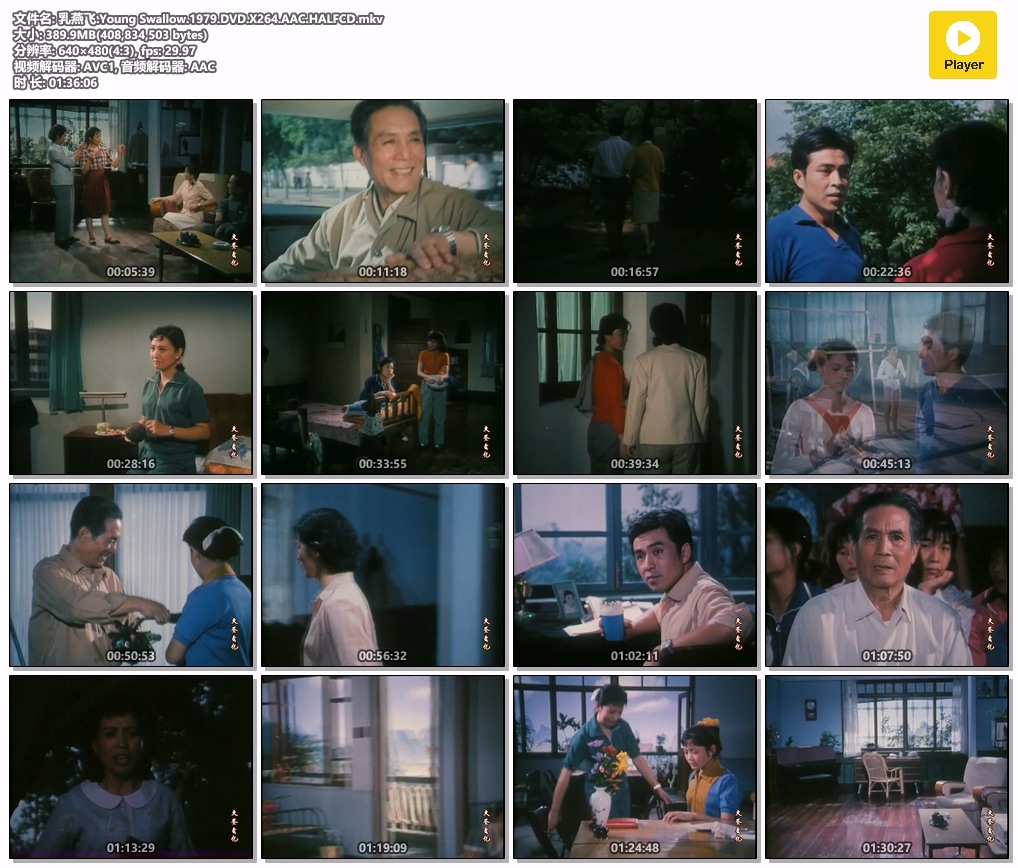 乳燕飞.Young Swallow.1979.DVD.X264.AAC.HALFCD.mkv.jpg