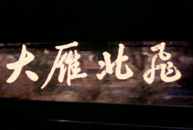 大雁北飞 (1982).mkv_20250608_184002.162.jpg