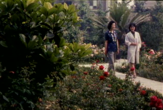 大雁北飞 (1982).mkv_20250608_184106.296.jpg