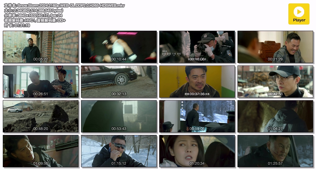 Snow.Storm.2024.2160p.WEB-DL.DDP2.0.H265-HDSWEB.mkv.jpg