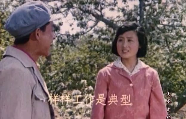 红柳绿柳.Red_green_willow.1982.DVD.X264.AAC.mkv_20250611_180737.880.jpg