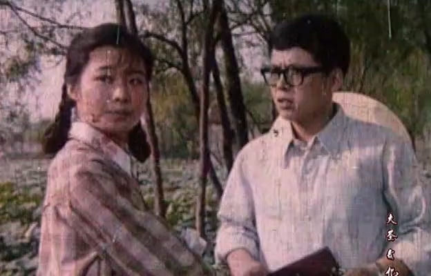 红柳绿柳.Red_green_willow.1982.DVD.X264.AAC.mkv_20250611_180734.822.jpg