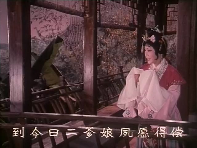 风雪配.Feng Xue Pei.1982.DVD.X264.AAC.HALFCD.mkv_20250611_185155.478.jpg