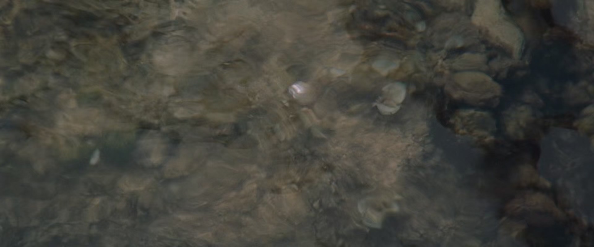 特洛伊.Troy.Directors.Cut.2004.1080p x265.10bit.AC3.2audio特效字幕.mkv_20250612_.jpg