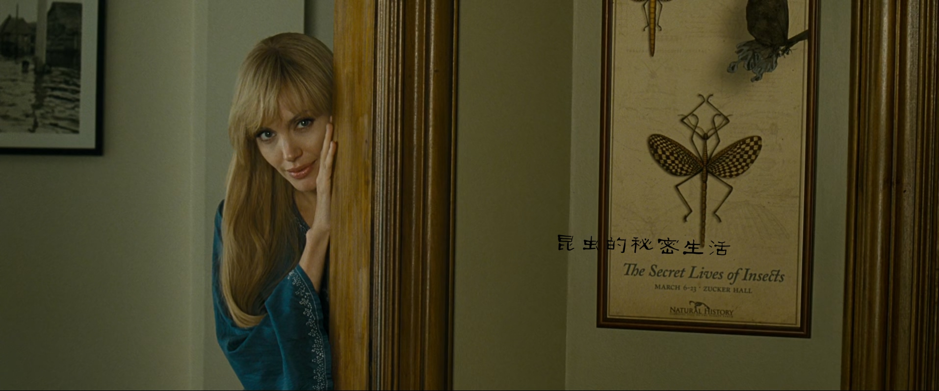 特工绍特.Salt.2010.Directo,s.Cut.BluRay.1080p x265.10bit.AAC.2audio.特效字幕.mkv.jpg