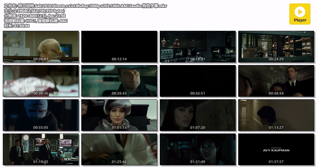 特工绍特.Salt.2010.Directo,s.Cut.BluRay.1080p x265.10bit.AAC.2audio.特效字幕.mkv.jpg