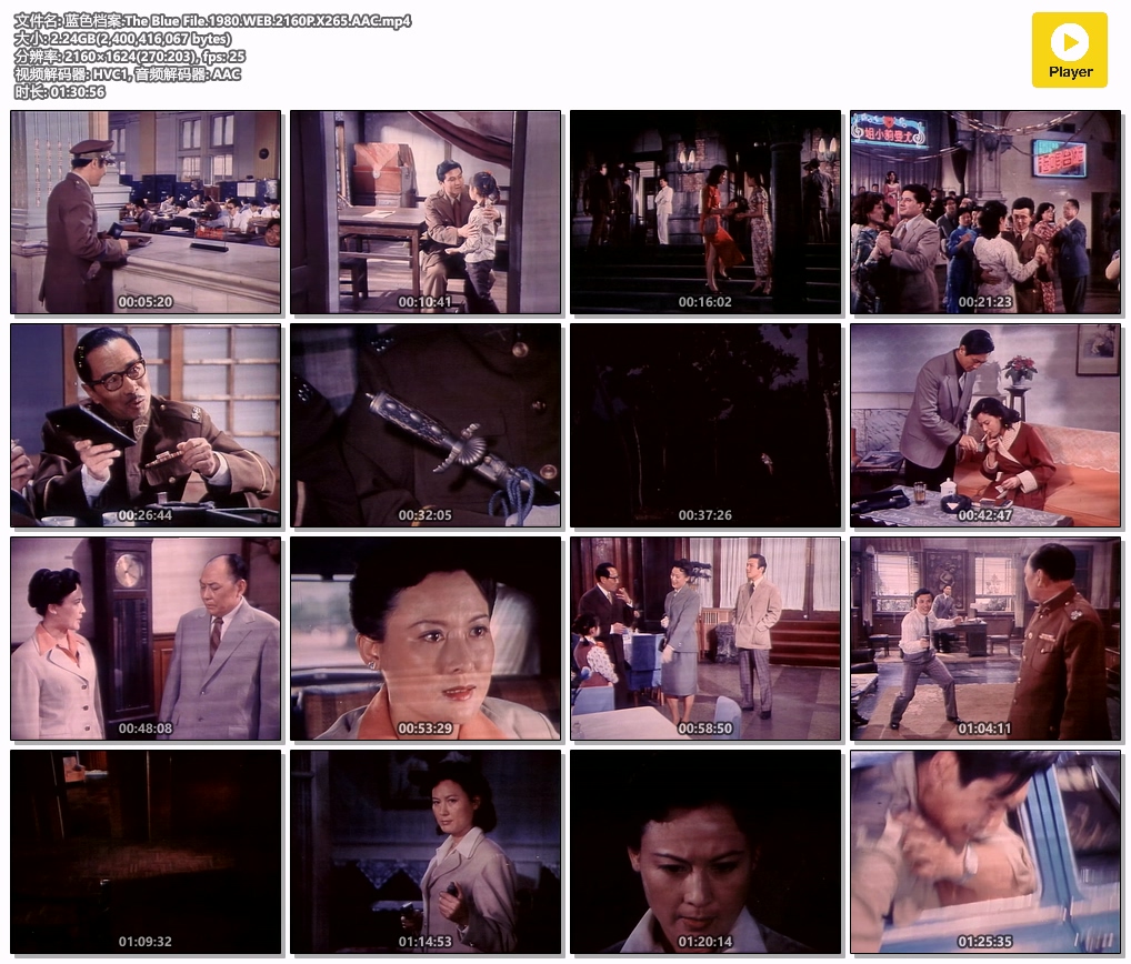 蓝色档案.The Blue File.1980.WEB.2160P.X265.AAC.mp4.jpg