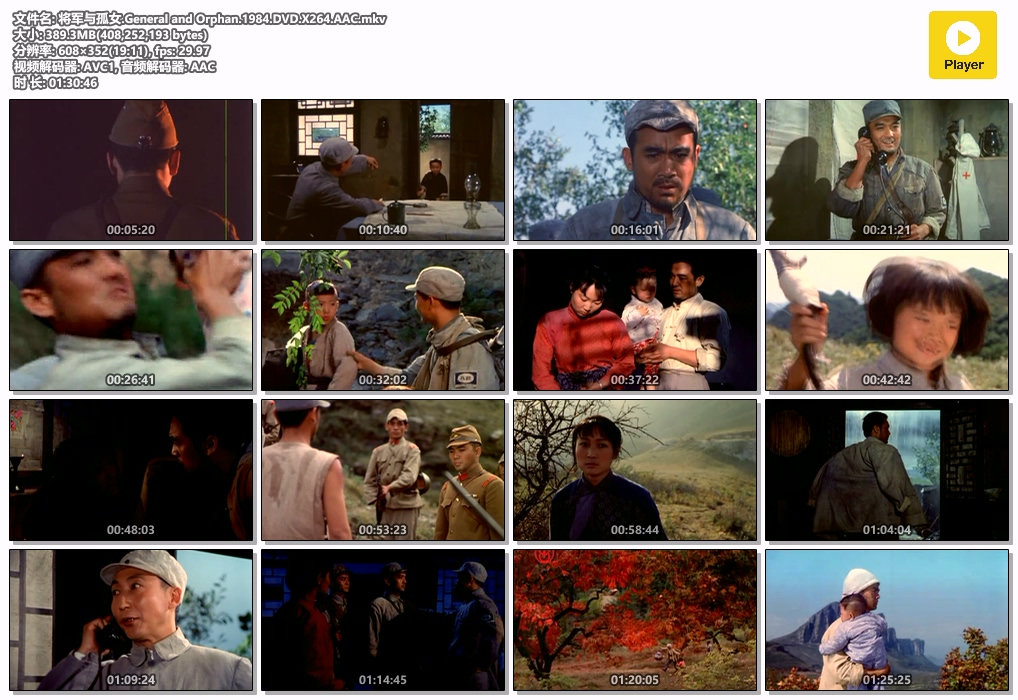 将军与孤女.General and Orphan.1984.DVD.X264.AAC.mkv.jpg