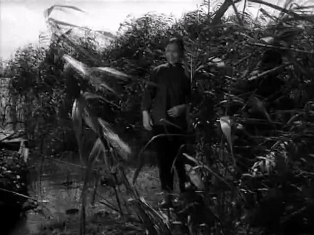 阿勇.A Yong.1975.DVD.X264.AAC.HALFCD.mkv_20250614_180431.404.jpg