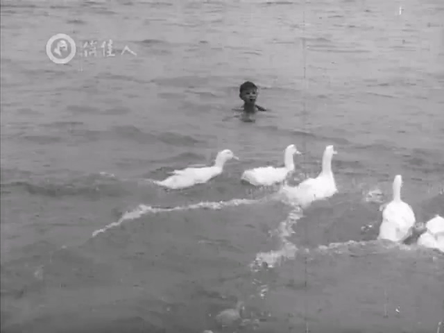 阿勇.A Yong.1975.DVD.X264.AAC.HALFCD.mkv_20250614_180459.285.jpg