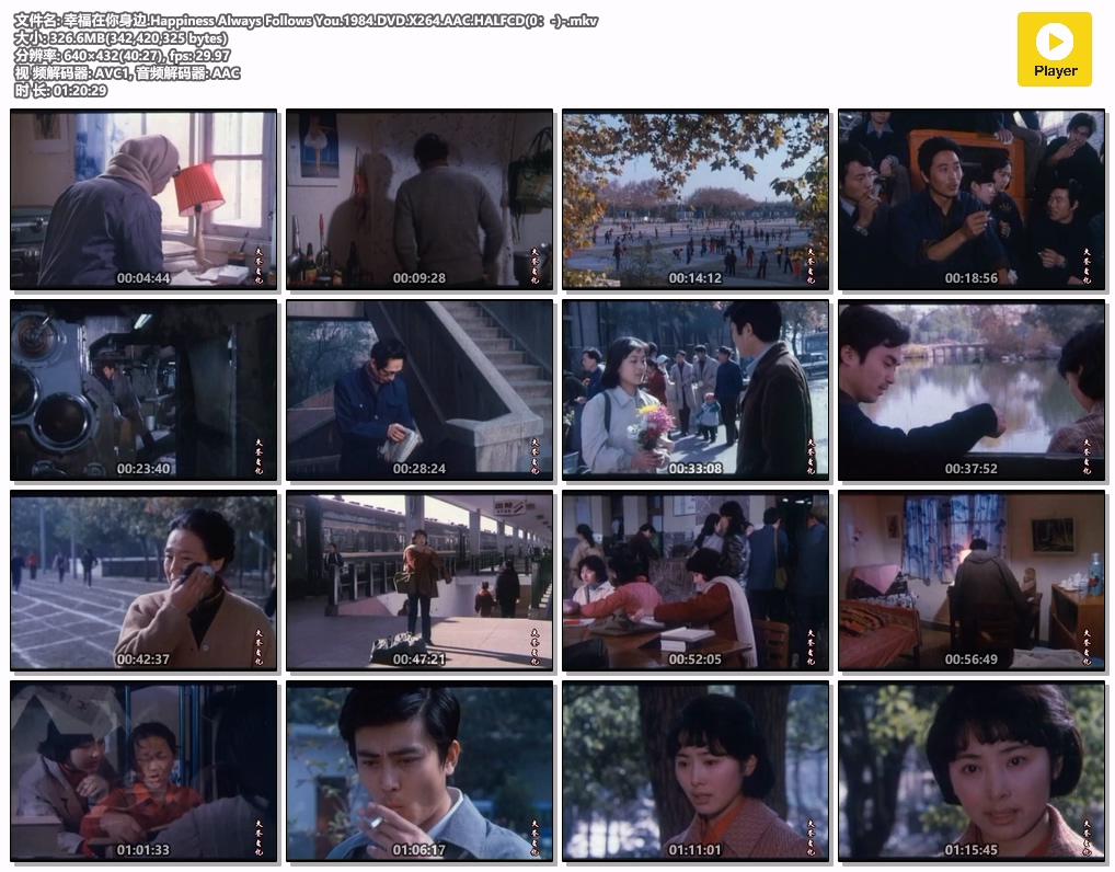 幸福在你身边.Happiness Always Follows You.1984.DVD.X264.AAC.HALFCD(0：-)-.mkv.jpg