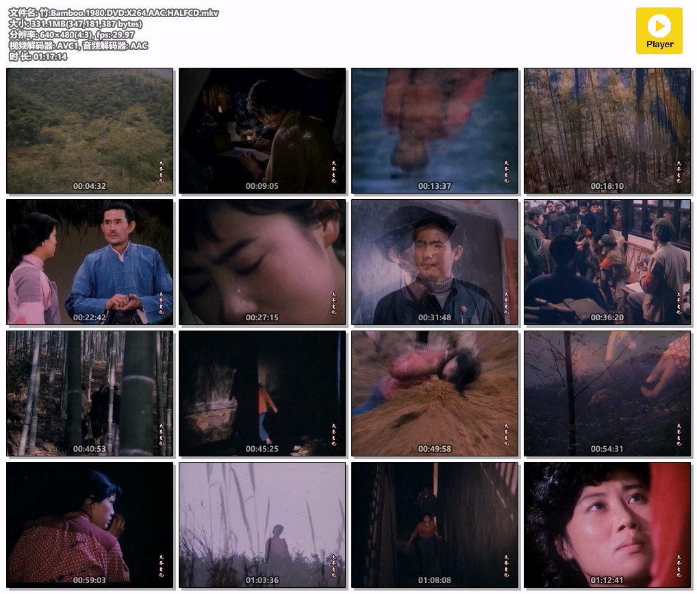 竹.Bamboo.1980.DVD.X264.AAC.HALFCD.mkv.jpg
