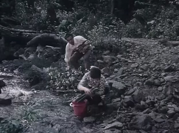 叛国者.A Traitor.1980.DVD.X264.AAC.HALFCD.mkv_20250615_215613.908.jpg