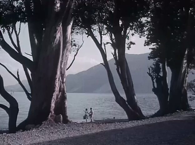 叛国者.A Traitor.1980.DVD.X264.AAC.HALFCD.mkv_20250615_215645.868.jpg